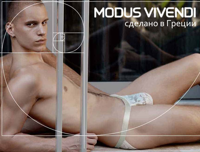 Modus Vivendi