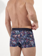 Трусы-боксеры мужские HOM 40-3045 с цветным принтом пейсли