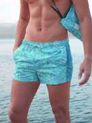 шорты пляжные мужские Doreanse 3836 с цветным принтом