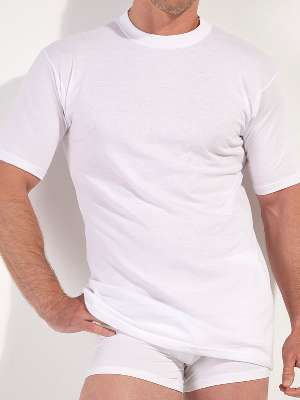 Футболка мужская HOM 40-5508 белая