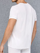 футболка мужская Doreanse Premium 2865