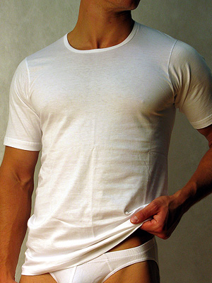 футболка мужская Doreanse Cotton Basic, арт. Doreanse 2510