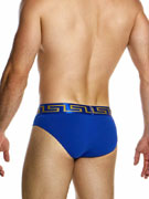 Трусы-брифы мужские Modus Vivendi 11613 синие