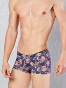 Трусы-хипсы мужские Doreanse Wild Flower 1746