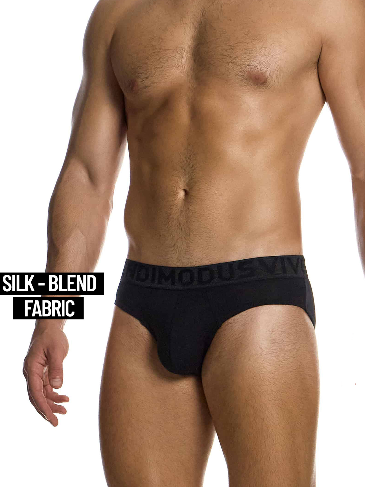Трусы-брифы мужские шёлковые Modus Vivendi 08513 чёрные