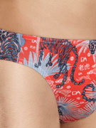 трусы-слипы мужские Doreanse Exotic Tiger, арт. Doreanse 1401