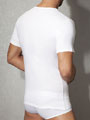 футболка мужская Doreanse Cotton Basic 2810