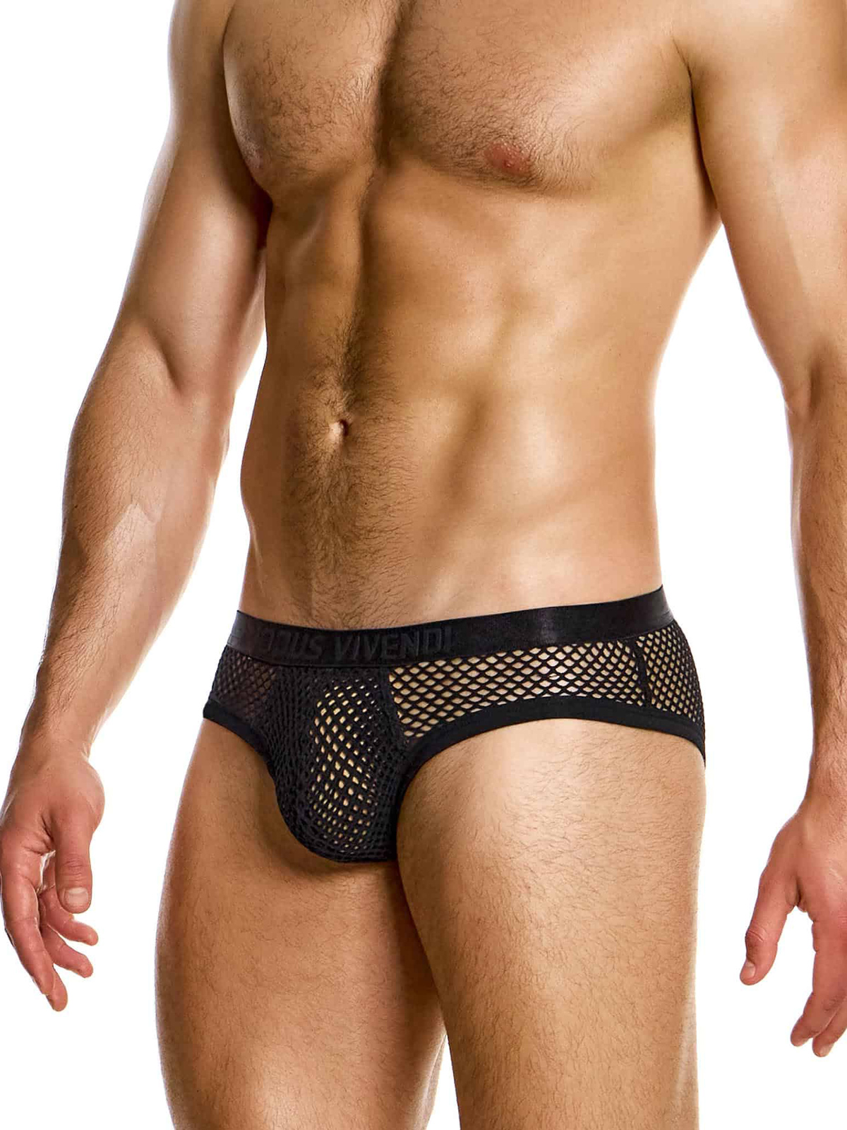 Трусы-брифы мужские Modus Vivendi 05416 чёрные в крупную сеточку