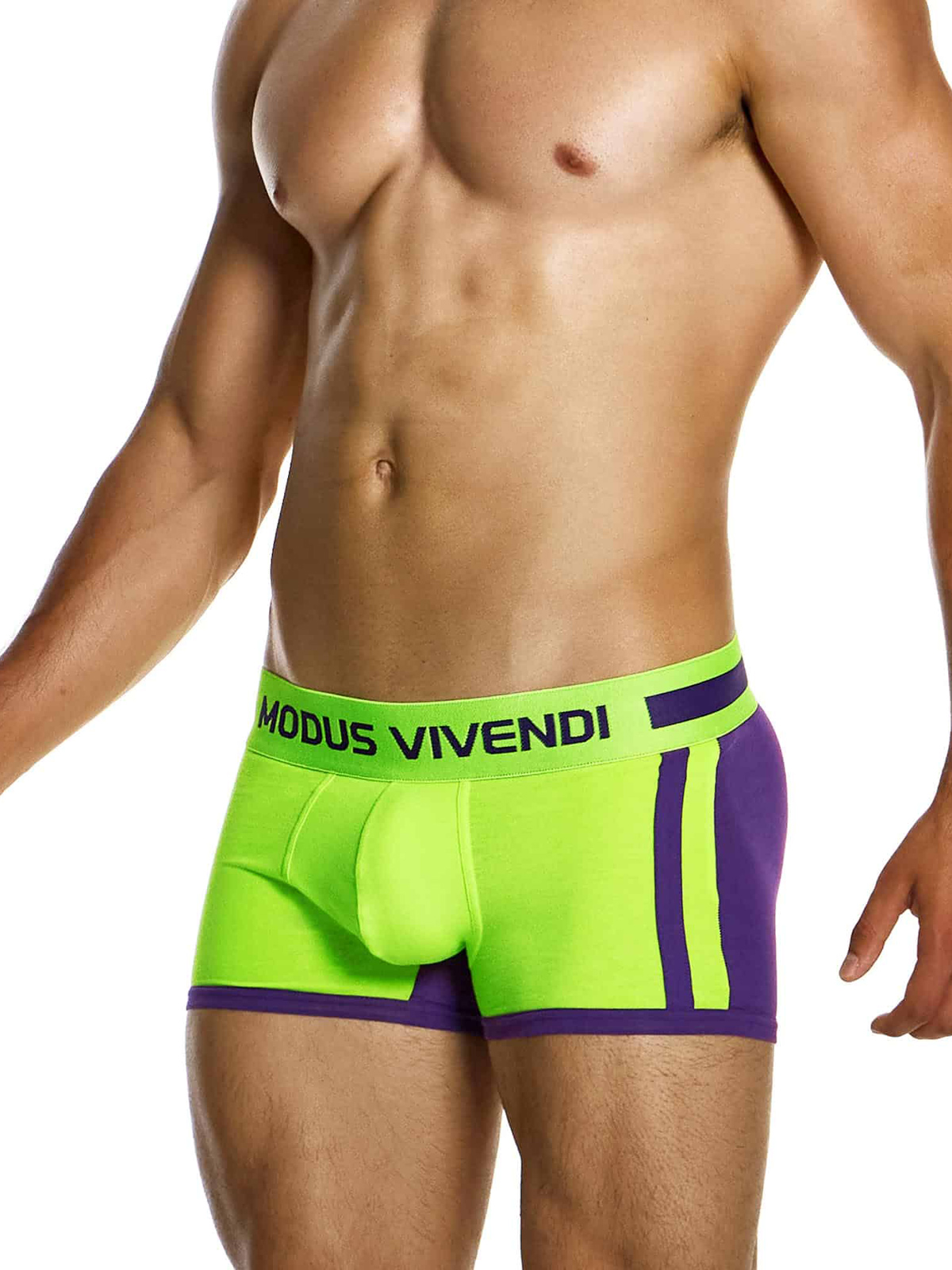 Трусы-боксеры мужские Modus Vivendi 12423 фиолетово-зелёные