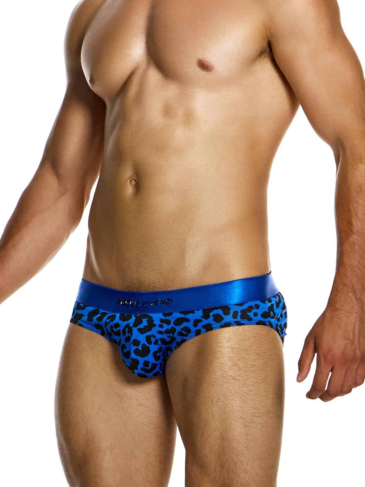 Трусы-брифы мужские Modus Vivendi 15412 синие