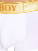 Трусы-хипсы мужские Oboy Gold, арт. Oboy 06-6945
