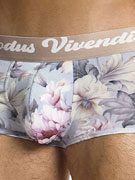 Трусы-хипсы мужские Modus Vivendi 07521 с цветочным принтом
