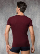 футболка мужская Doreanse Cotton Stretch, арт. Doreanse 2800
