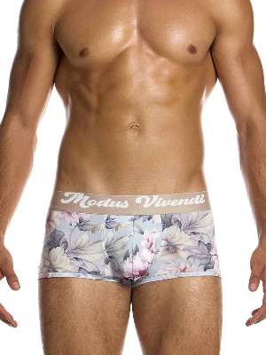 Трусы-хипсы мужские Modus Vivendi 07521 с цветочным принтом