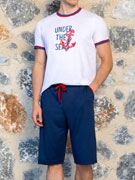 Пижама мужская Doreanse 4504 сине-белая