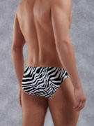 Мужские трусы-слипы Doreanse Zebra 1345