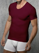 футболка мужская Doreanse Cotton Stretch, арт. Doreanse 2800