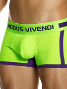 Трусы-боксеры мужские Modus Vivendi 12423 фиолетово-зелёные