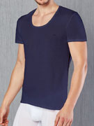 Футболка мужская Doreanse Cotton Premium 2525