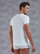 футболка мужская Doreanse Premium 2565