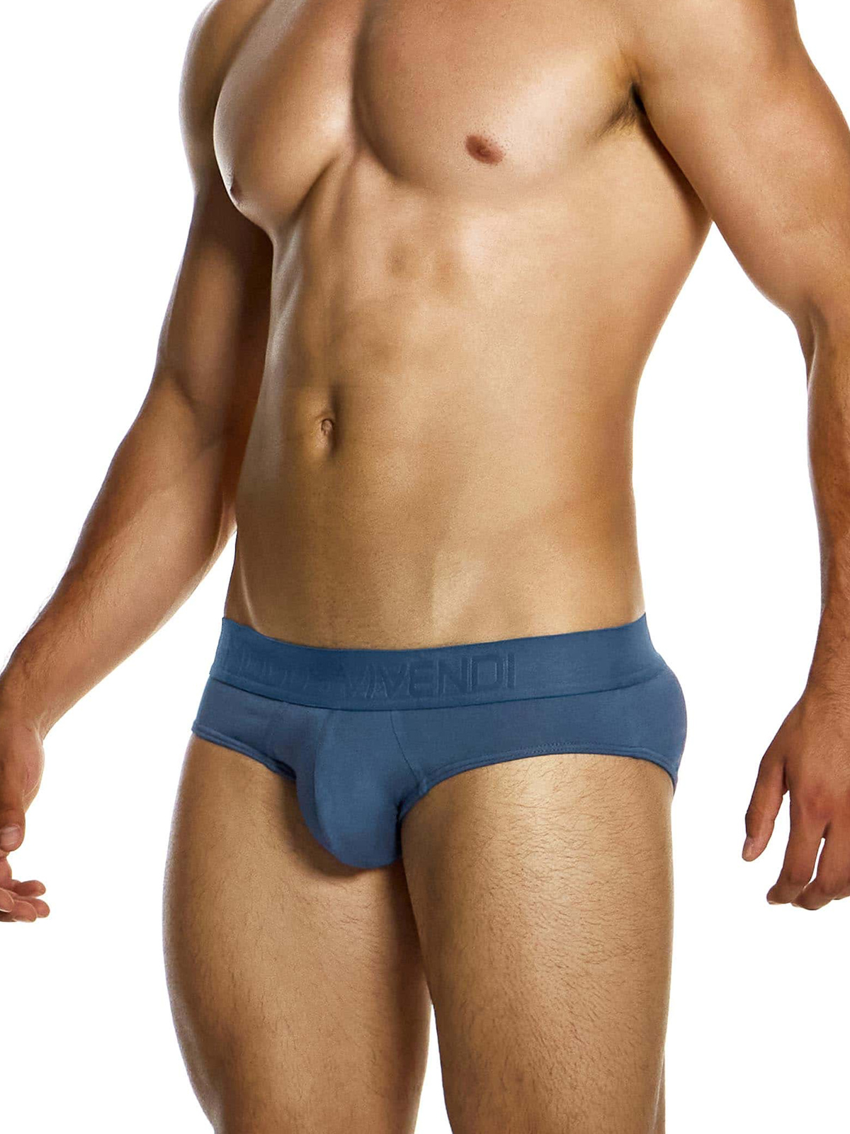 Трусы-брифы мужские Modus Vivendi 13415 цвета индиго