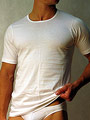 футболка мужская Doreanse Cotton Basic, арт. Doreanse 2510