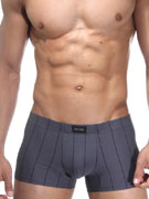трусы-хипсы мужские HOM Elegant 33-8921 серые