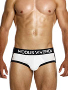 Трусы-брифы мужские Modus Vivendi 12414 чёрно-белые