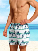 шорты пляжные мужские Doreanse 3813 белые с принтом