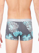 Комплект трусов-боксеров мужских HOM 40-1118