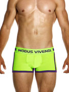 Трусы-боксеры мужские Modus Vivendi 12423 фиолетово-зелёные