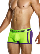 Трусы-боксеры мужские Modus Vivendi 12423 фиолетово-зелёные