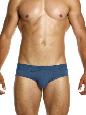 Трусы-брифы мужские Modus Vivendi 13415 цвета индиго