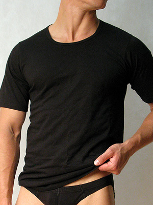 футболка мужская Doreanse Cotton Basic, арт. Doreanse 2510