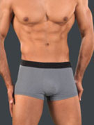трусы-боксеры мужские HOM Gentleman 40-1043
