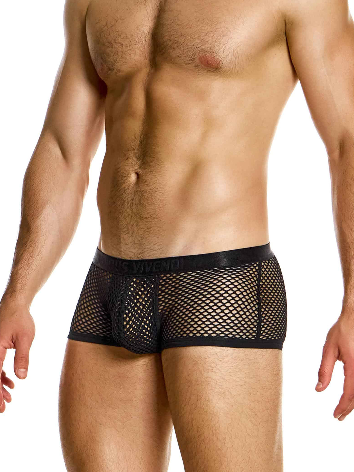 Трусы-хипсы мужские Modus Vivendi 05421 чёрные в крупную сеточку