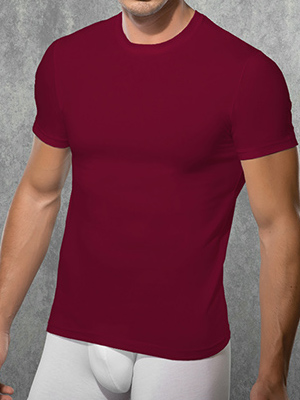 футболка мужская Doreanse Modal Basic 2550