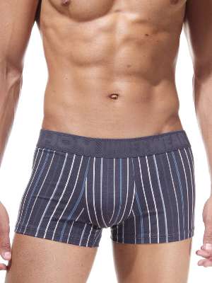 трусы-боксеры мужские HOM Anniversary, арт. HOM 02411