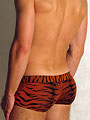 трусы-хипсы мужские Doreanse Bengal Tiger 1820