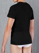 Футболка мужская Doreanse Cotton Premium, арт. Doreanse 2531