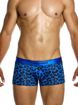 Трусы-боксеры мужские Modus Vivendi 15421 синие