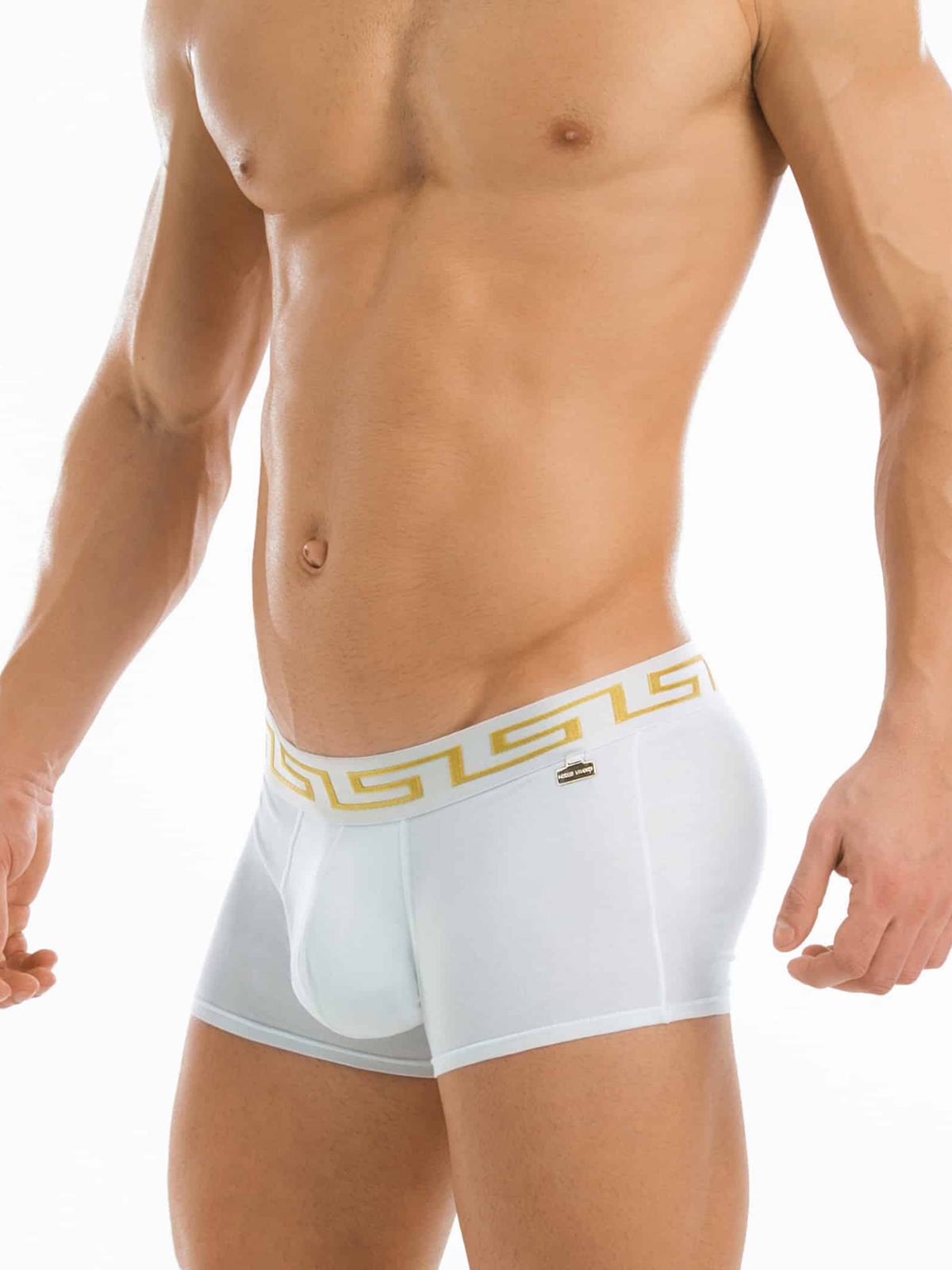 Трусы-хипсы мужские Modus Vivendi 11621 белые