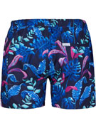 шорты пляжные мужские Doreanse 3819 синие с принтом