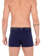 Комплект трусов-боксеров мужских HOM 40-2316