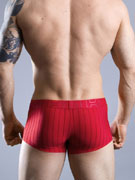 трусы-хипсы мужские HOM For Him 33-9002