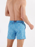 Пляжные шорты мужские HOM 40-2779 голубые в вертикальную полоску