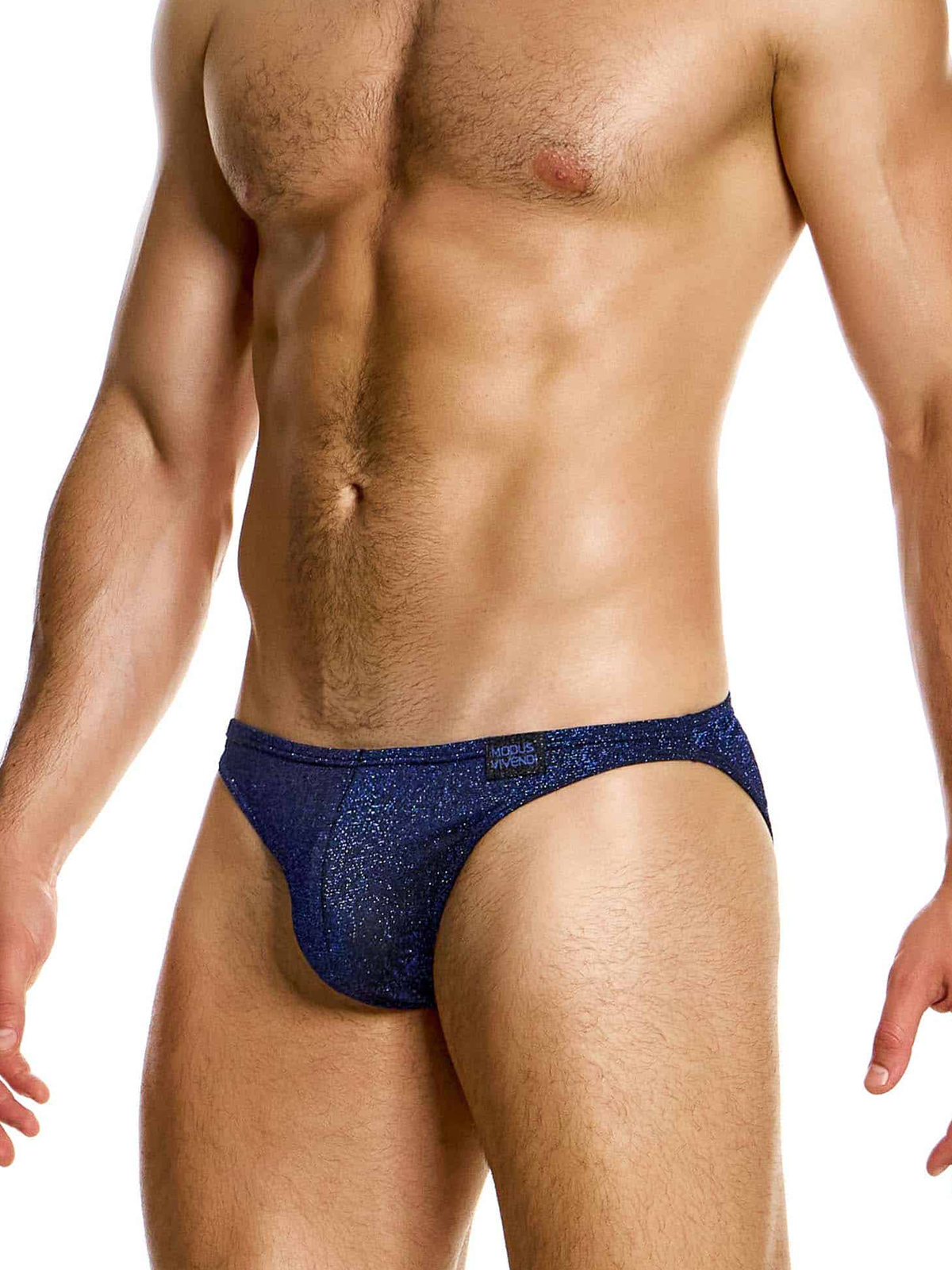 Трусы-слипы мужские Modus Vivendi 26314 синие