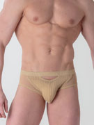 Трусы-брифы мужские WOH 46-3017 бежевые