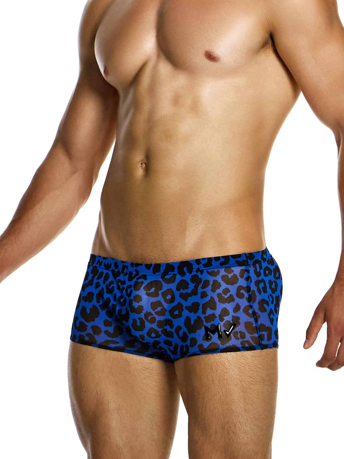 Трусы-хипсы мужские Modus Vivendi 15422 синие