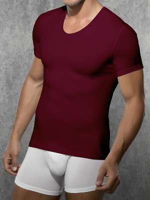 футболка мужская Doreanse Cotton Stretch, арт. Doreanse 2800